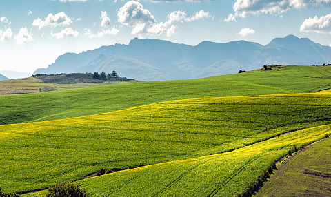 Государственный кадастровый учет и комплексные кадастровые работы в 2026г.